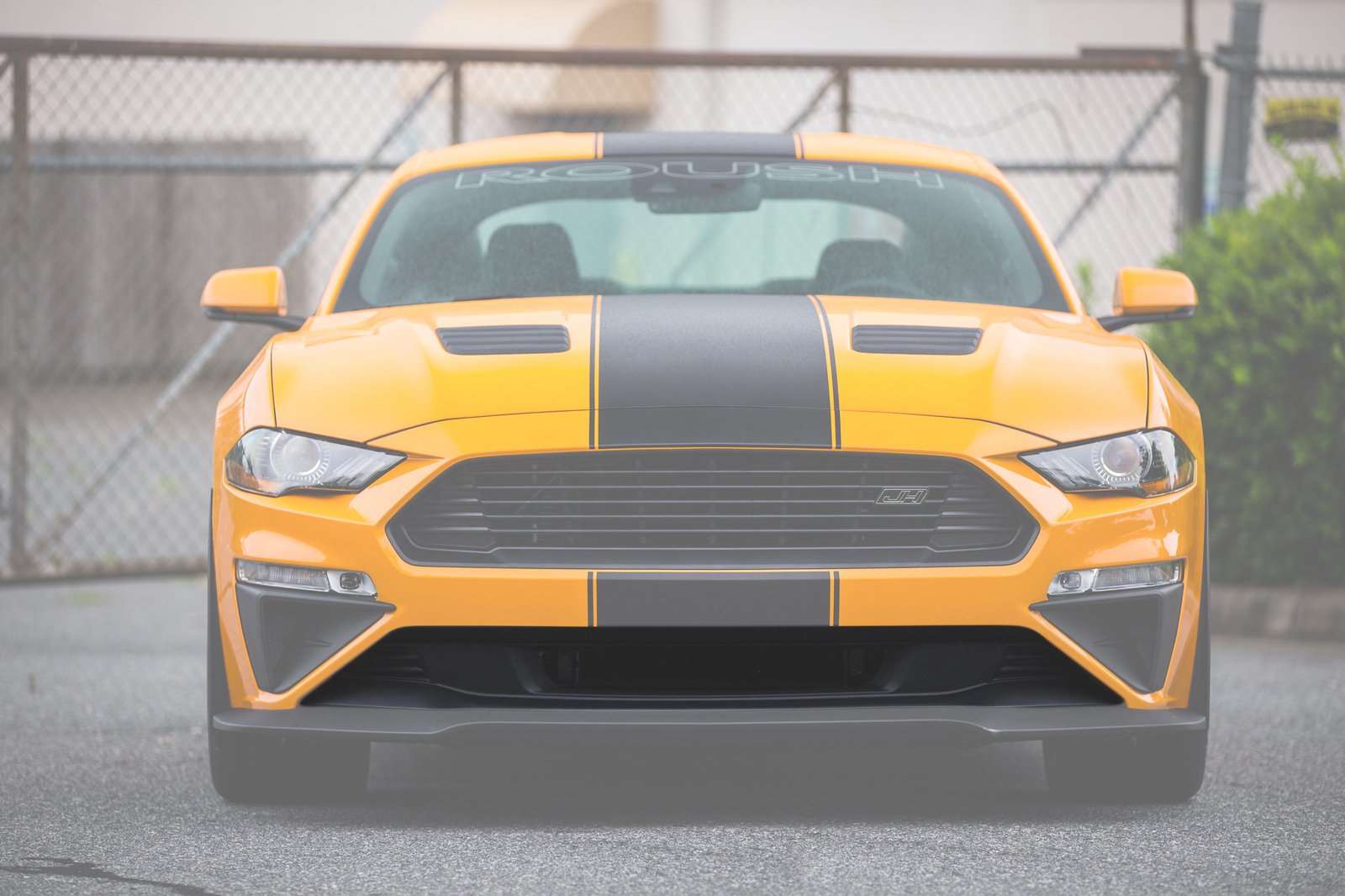 2018-22 Mustang Lower High-Flow Grille Opening