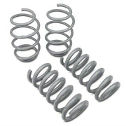 RTR Tactical Performance Lowering Springs (2015-24 MUSTANG)